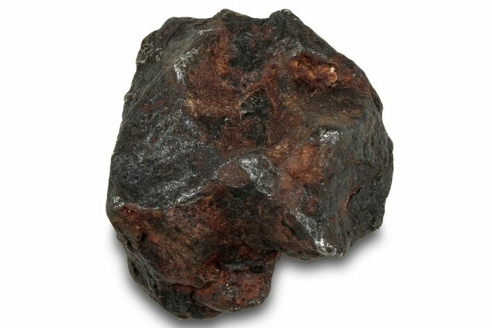 Canyon Diablo Iron Meteorite ( g) - Arizona #319568